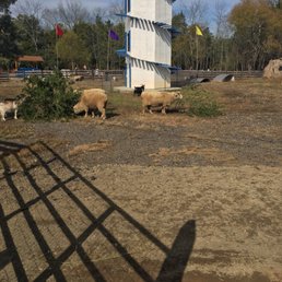 Some photos of the things that Amazing Farm Fun @ Ticonderoga Farms has to offer. Some photos of the things that Amazing Farm Fun @ Ticonderoga Farms has to offer.