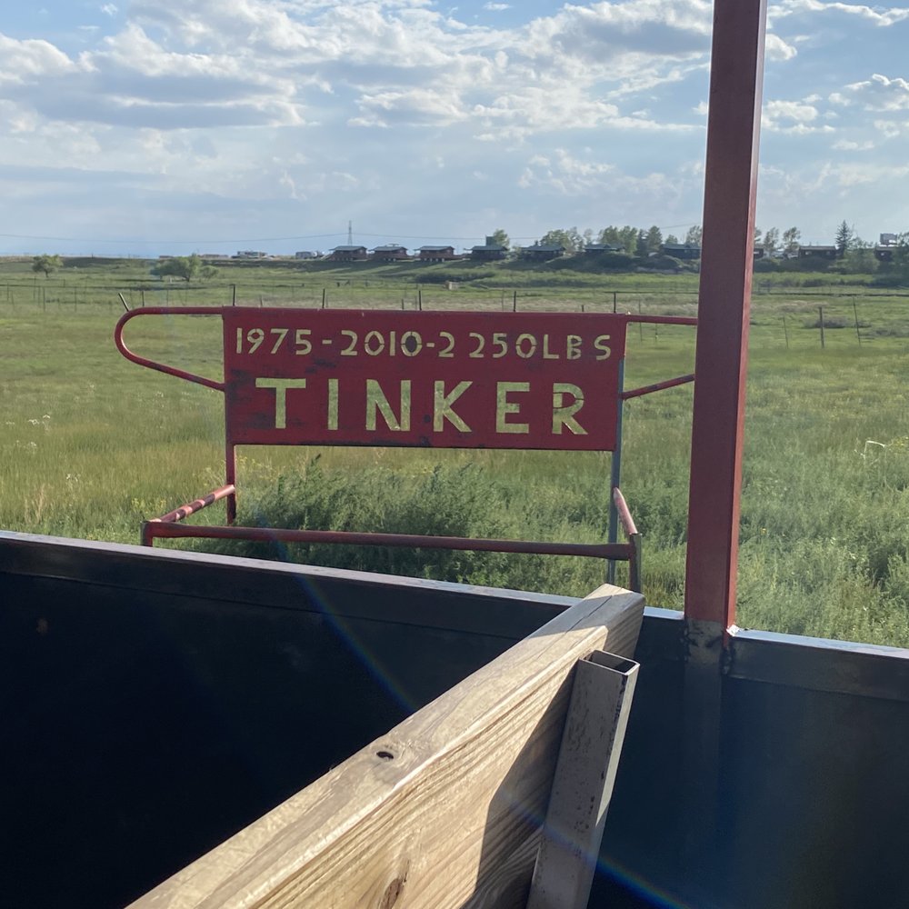 Terry Bison Ranch Resort - More train ride fun - Venues & Event Spaces Near Me - Cheyenne, Wyoming