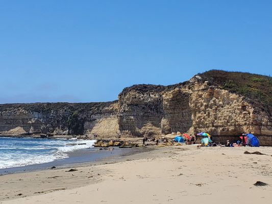 Four Mile Beach by null