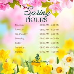 Pine Lane Nursery - Our Spring hours begin March 30, 2026