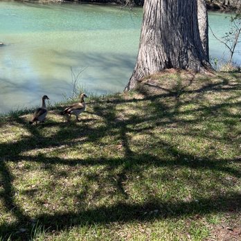 By the River Campground - Campgrounds Near Me - Kerrville, Texas By the River Campground - Campgrounds Near Me - Kerrville, Texas