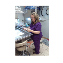 All Creatures Veterinary Clinic