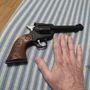 Wildcat Pawn and Gun