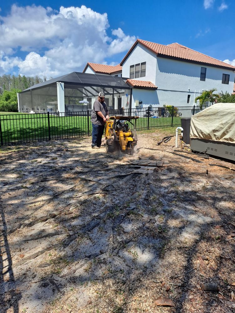 QUALITY STUMP REMOVAL Dade City, Florida Tree Services Phone