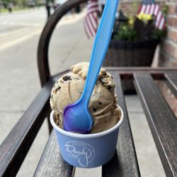 Randy’s Homemade Ice Cream - Coffee w/ Chocolate Chip (more like shavings)