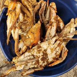 Captain Mo's Seafood - Jumbo males crabs from Captain Moe's