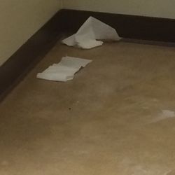 Rae-Ann Suburban - Toilet room floor