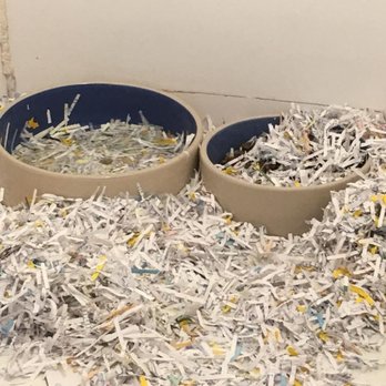 Jack's Pet Center - Food and water bowls found in puppies cages in the middle of summer. Photo taken: June 23, 2018 - Pet Stores Near Me - Great Falls, Montana Jack's Pet Center - Food and water bowls found in puppies cages in the middle of summer. Photo taken: June 23, 2018 - Pet Stores Near Me - Great Falls, Montana