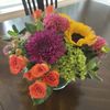 Posies Of Wellesley gift card