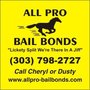 Photo of All Pro-Bail Bonds