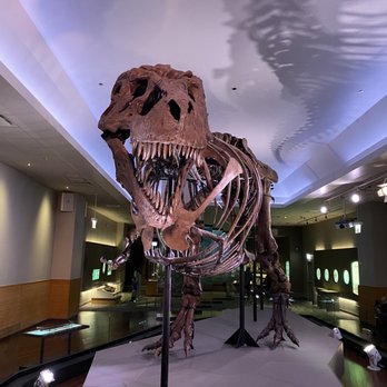 Field Museum - Museums Near Me - Chicago, Illinois