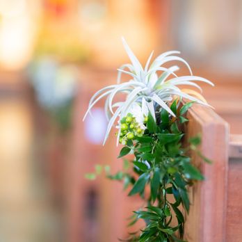 Easley Designs - Church pew flowers - Wedding Planning Near Me - Honolulu, Hawaii Easley Designs - Church pew flowers - Wedding Planning Near Me - Honolulu, Hawaii