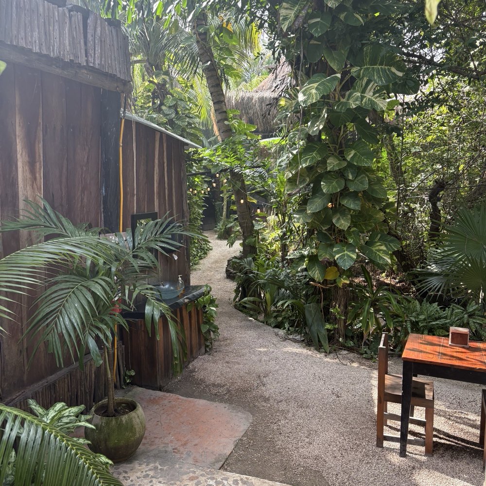 Potheads Beach Road - atmosphere - Breakfast & Brunch Near Me - Tulum, ROO Potheads Beach Road - atmosphere - Breakfast & Brunch Near Me - Tulum, ROO