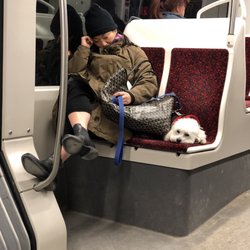 504 King Streetcar