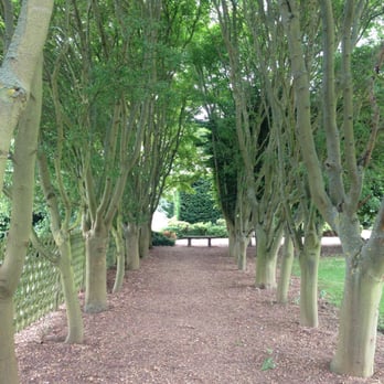 Fawsley Hall Hotel - Hotels Near Me - Daventry, NTH