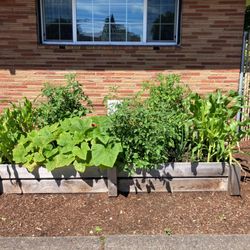 InterWest Properties - Community garden
