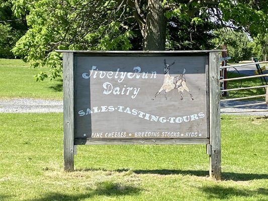Lively Run Goat Dairy by null
