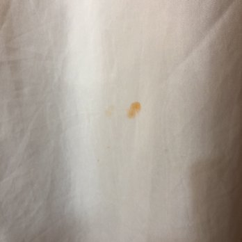 Baymont by Wyndham Augusta Riverwatch - Our shower curtain with several brown stains - Hotels Near Me - Augusta, Georgia