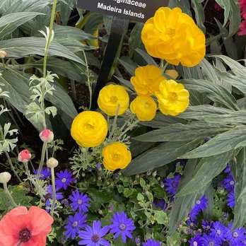 Garfield Park Conservatory - Parks Near Me - Chicago, Illinois