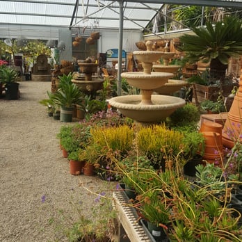 Griggs Nursery - Nurseries & Gardening Near Me - Carmel-by-the-sea, California