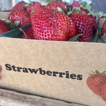 Mellano Farm Stand - Fresh U Pick - Farmers Market Near Me - Oceanside, California Mellano Farm Stand - Fresh U Pick - Farmers Market Near Me - Oceanside, California