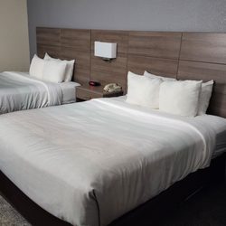 Quality Inn Daytona Speedway I-95 - Nice recently renovated room.