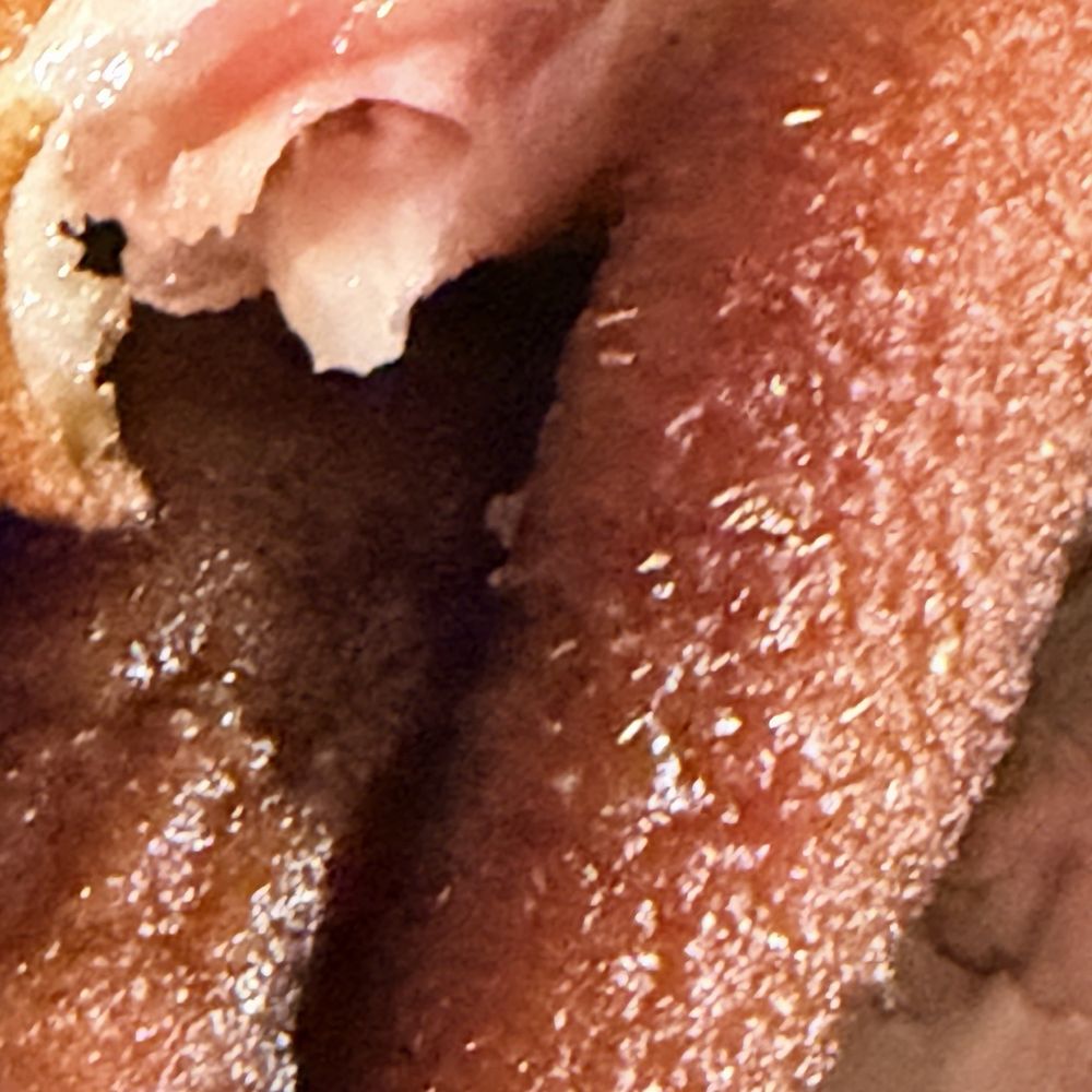 KW Cafe - Pork fur on German styled pork knuckle - Hong Kong Style Cafe Near Me - Rowland Heights, California KW Cafe - Pork fur on German styled pork knuckle - Hong Kong Style Cafe Near Me - Rowland Heights, California
