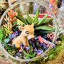 Photo of Ephemera Terrariums