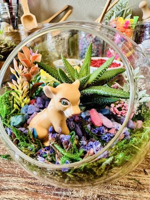 Ephemera - Plants, Terrariums and Comics by null