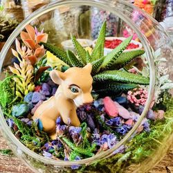 Ephemera Terrariums - My terrarium
