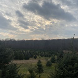 Schrempp's Christmas Tree Farm