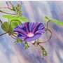 Photo of Watercolor Wow Classes