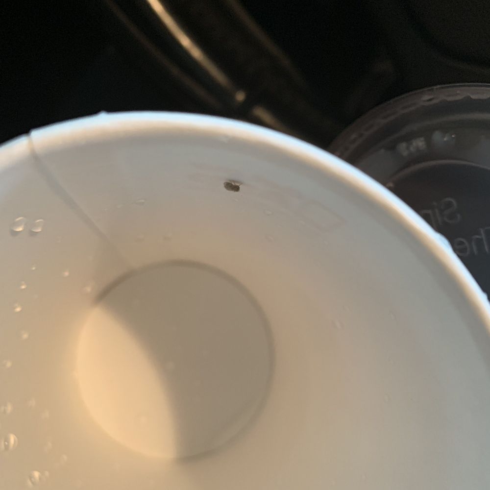 I advise people to open their cups and inspect their drinks before consuming. I advise people to open their cups and inspect their drinks before consuming.