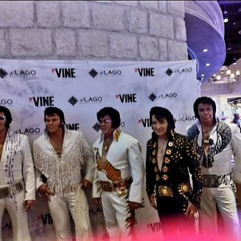 The Vine - The Vine - Stadiums & Arenas Near Me - Waterloo, New York The Vine - The Vine - Stadiums & Arenas Near Me - Waterloo, New York