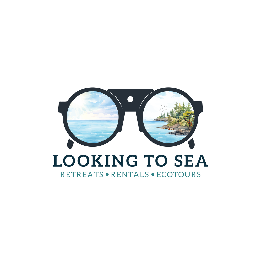 Looking to Sea Logo
