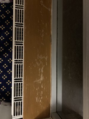 Royal National Hotel by null