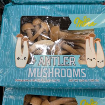 168 Market - Antler mushroom - Fruits & Veggies Near Me - Alhambra, California