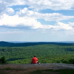 Peaceful view