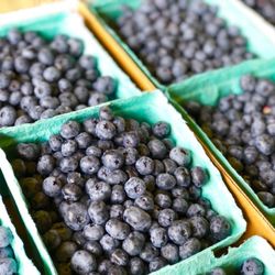 Blue Clay Berry Farm
