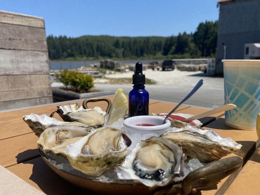 Clausen Oysters by null