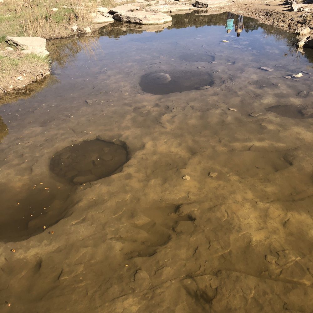 Dinosaur Valley State Park - TTFN - Parks Near Me - Glen Rose, Texas