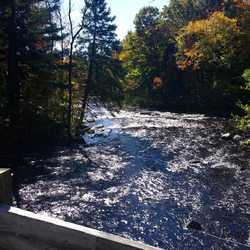 Mc Clintock County Park - A downstream view of the Peshtigo from the large footbridge at McClintock Park