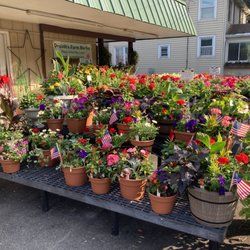 Draudt's Farm Market & Greenhouses - Beautiful mixed pots