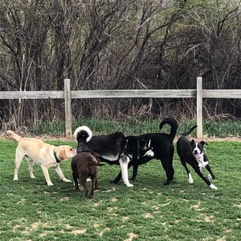 Grandview Dog Park - Dog Parks Near Me - Aurora, Colorado