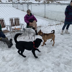 Middlebury Dog Park - Friendships!