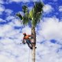 Photo of New Generation Tree Care
