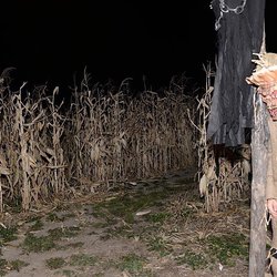 Magic Valley Corn Maze - Crazy scary!