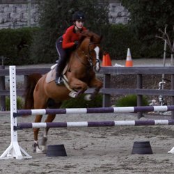 Clean Flight Equestrian - Jump lesson in outdoor arena