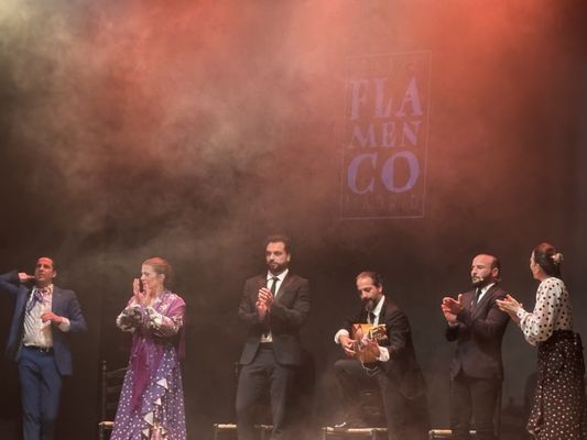 Teatro Flamenco Madrid by null