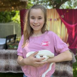 The Little Zoo - It was entertainment and therapy for everyone. Such a great experience!
